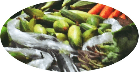 परवल के फायदे बहुत, ब्लड प्यूरिफाई करने वाली सब्जी से किन लोगों को करना चाहिए परहेज