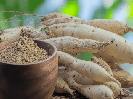 शतावरी: सिर्फ महिलाओं के लिए ही नहीं बल्कि पुरुषों के लिए भी है वरदान