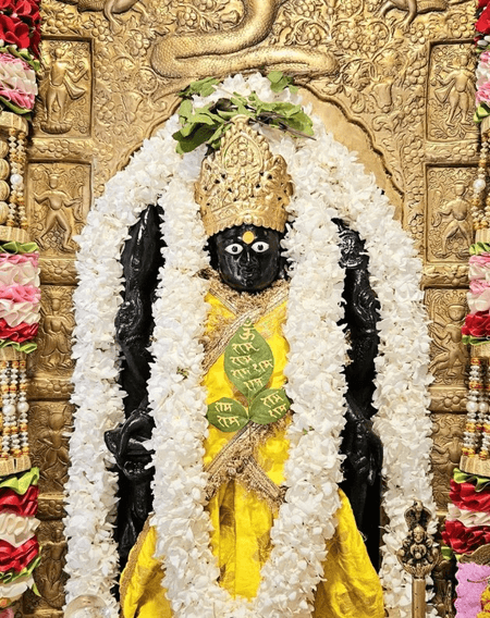 वासुदेव द्वादशी: भगवान विष्णु को प्रसन्न करने का विशेष दिन, जानें पूजा की विधि