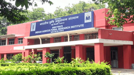 आईसीएआर-आईएआरआई में नौकरी का मौका: यंग प्रोफेशनल सहित 32 पदों पर भर्ती जारी, अंतिम तिथि 13 मई तक