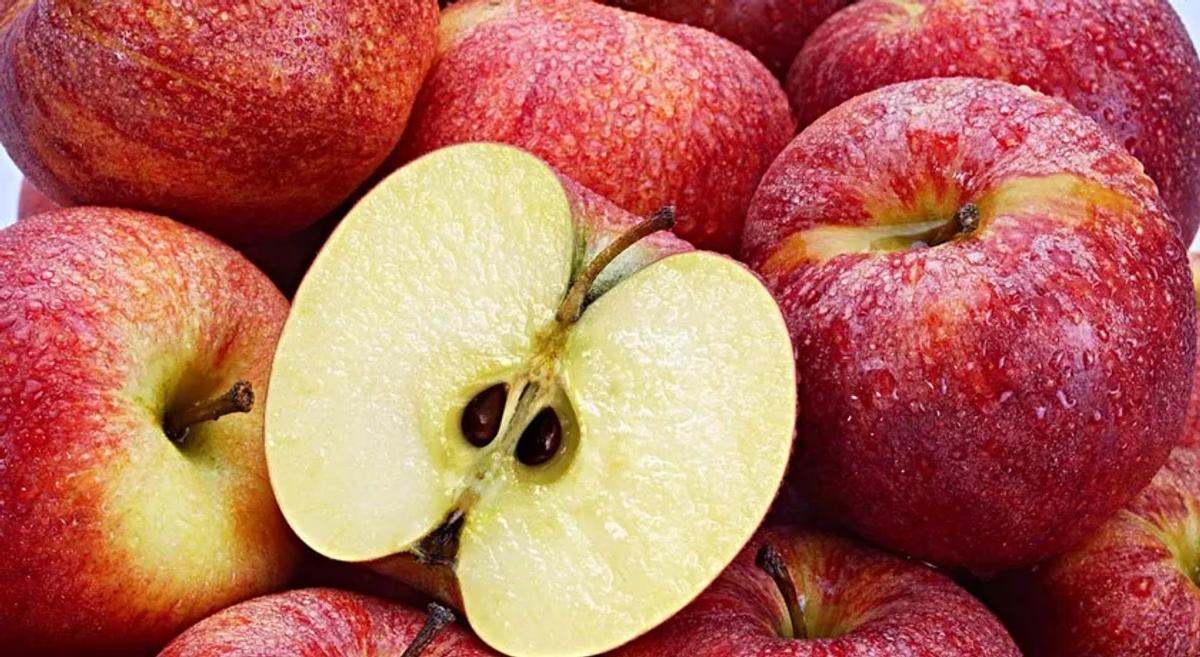 One or two apple seeds