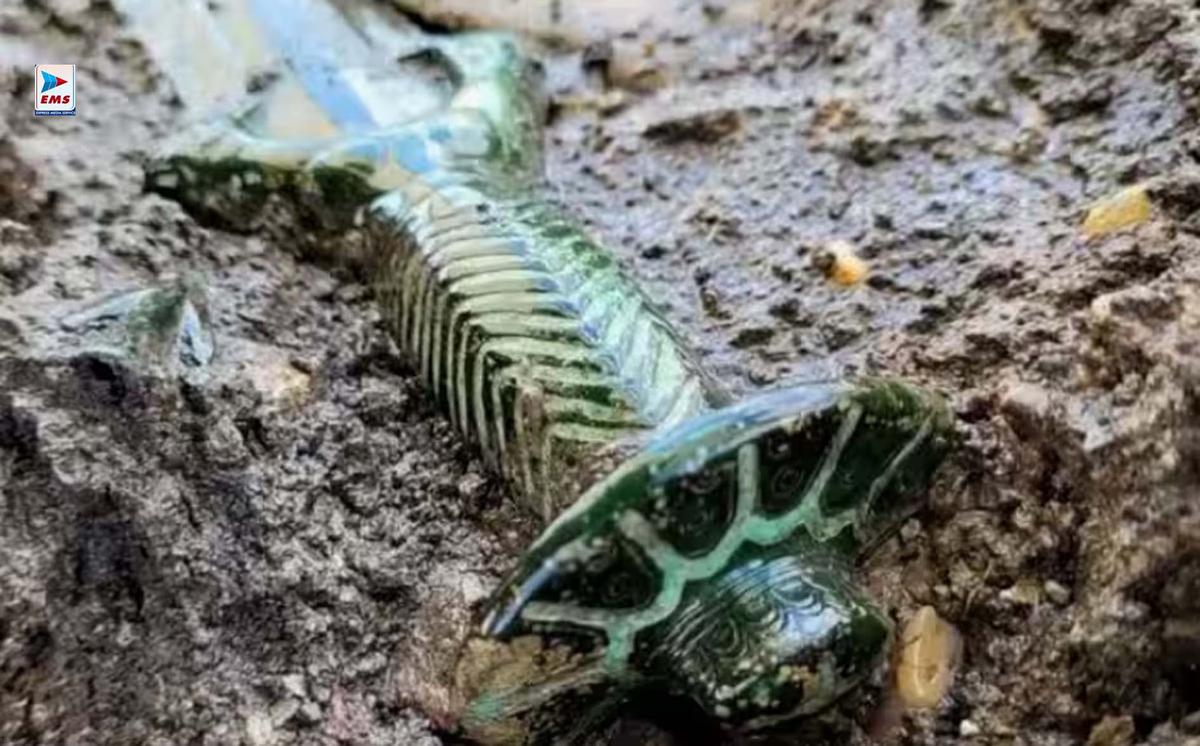 Ancient sword discovery