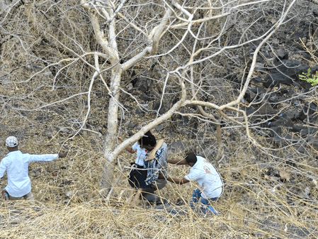 महाराष्ट्र: गोंदिया में दो ट्रेलर की टक्कर में ड्राइवर की मौत, जलगांव में एक पेड़ ने बचाई चार लोगों की जान