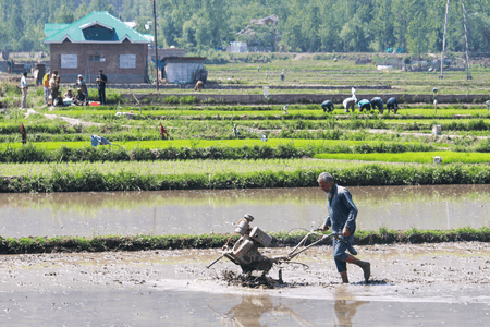 6.1 करोड़ से अधिक किसानों के भूमि रिकॉर्ड डिजिटल आईडी से जुड़े