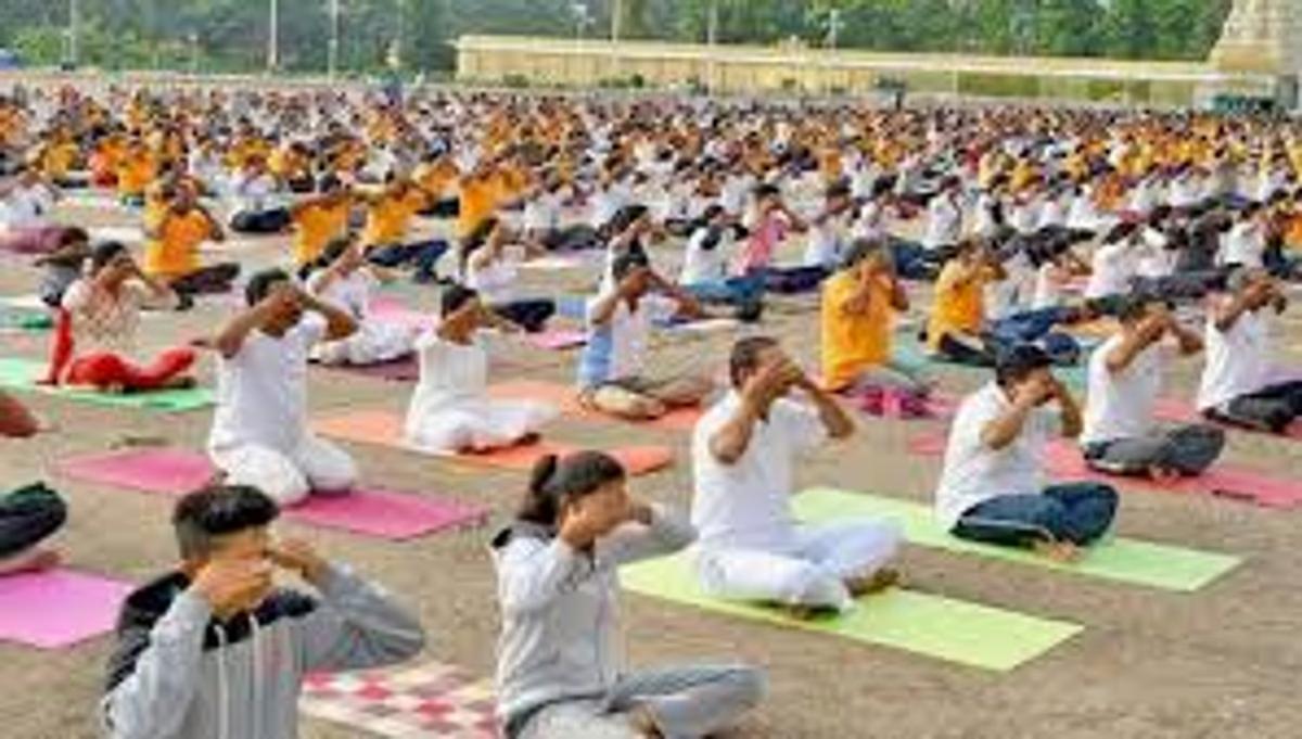 Yoga Day 2025 activities
