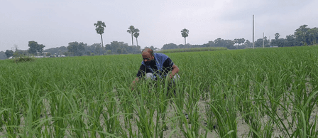 बिहार के वैशाली में पीएम किसान योजना से मिली मदद, लाभुक हुए आत्मनिर्भर
