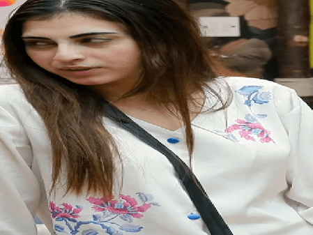 बसीर और नेहल का रोमांस देख चिढ़े घरवाले, फरहाना ने रिश्ते को बताया फेक