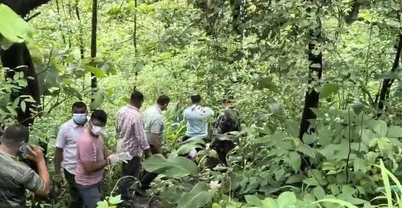 नासिक