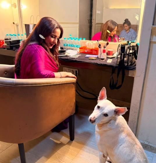 जानवरों