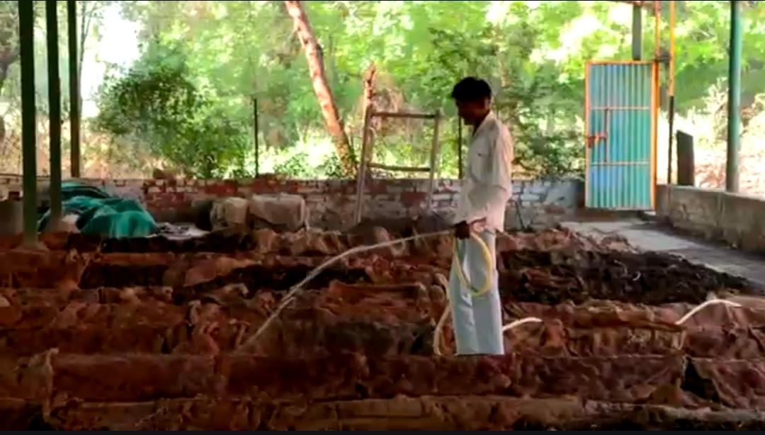 उत्तर प्रदेश बनेगा गो आधारित अर्थव्यवस्था का केंद्र, हर जिले में लगेंगे 1,000 से अधिक बायोगैस प्लांट