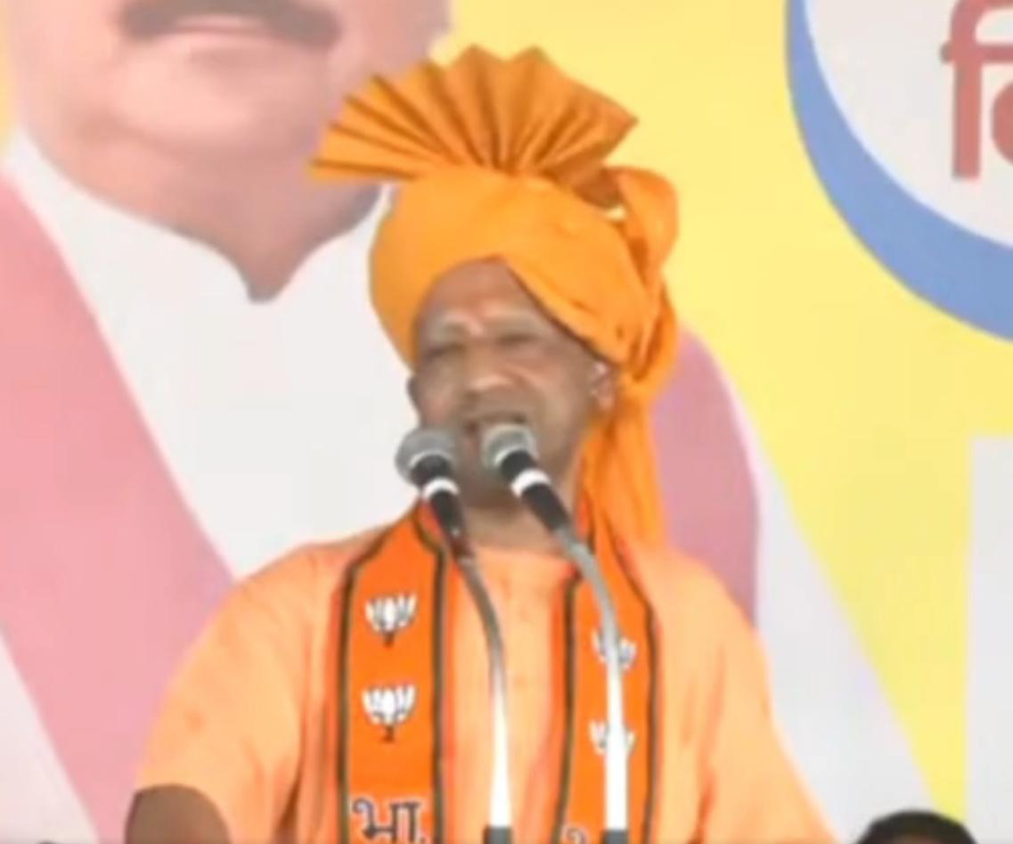 गन्ने