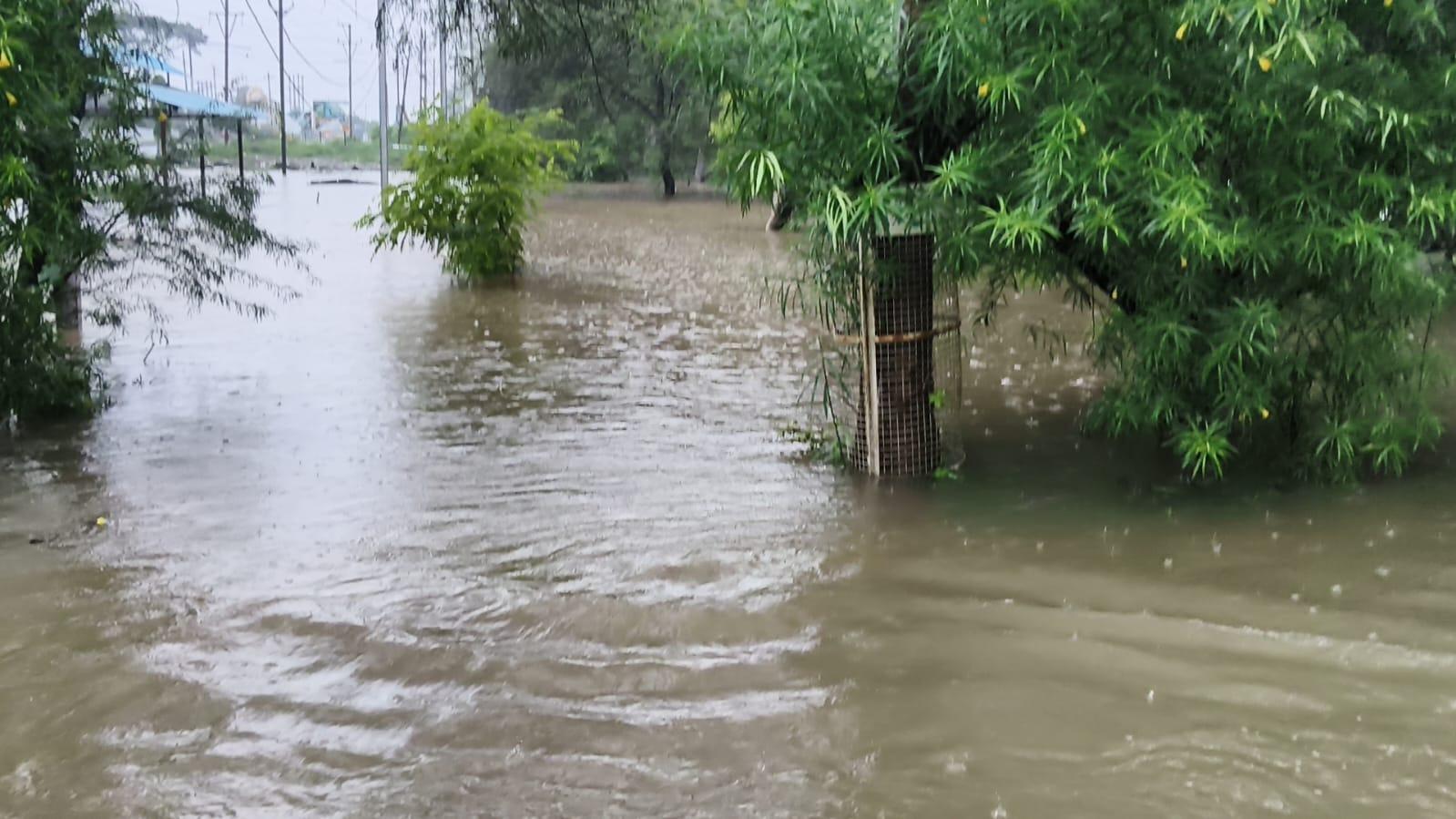 मध्य प्रदेश में भारी बारिश से जनजीवन अस्त-व्यस्त, भोपाल सहित कई जिलों में स्कूल बंद