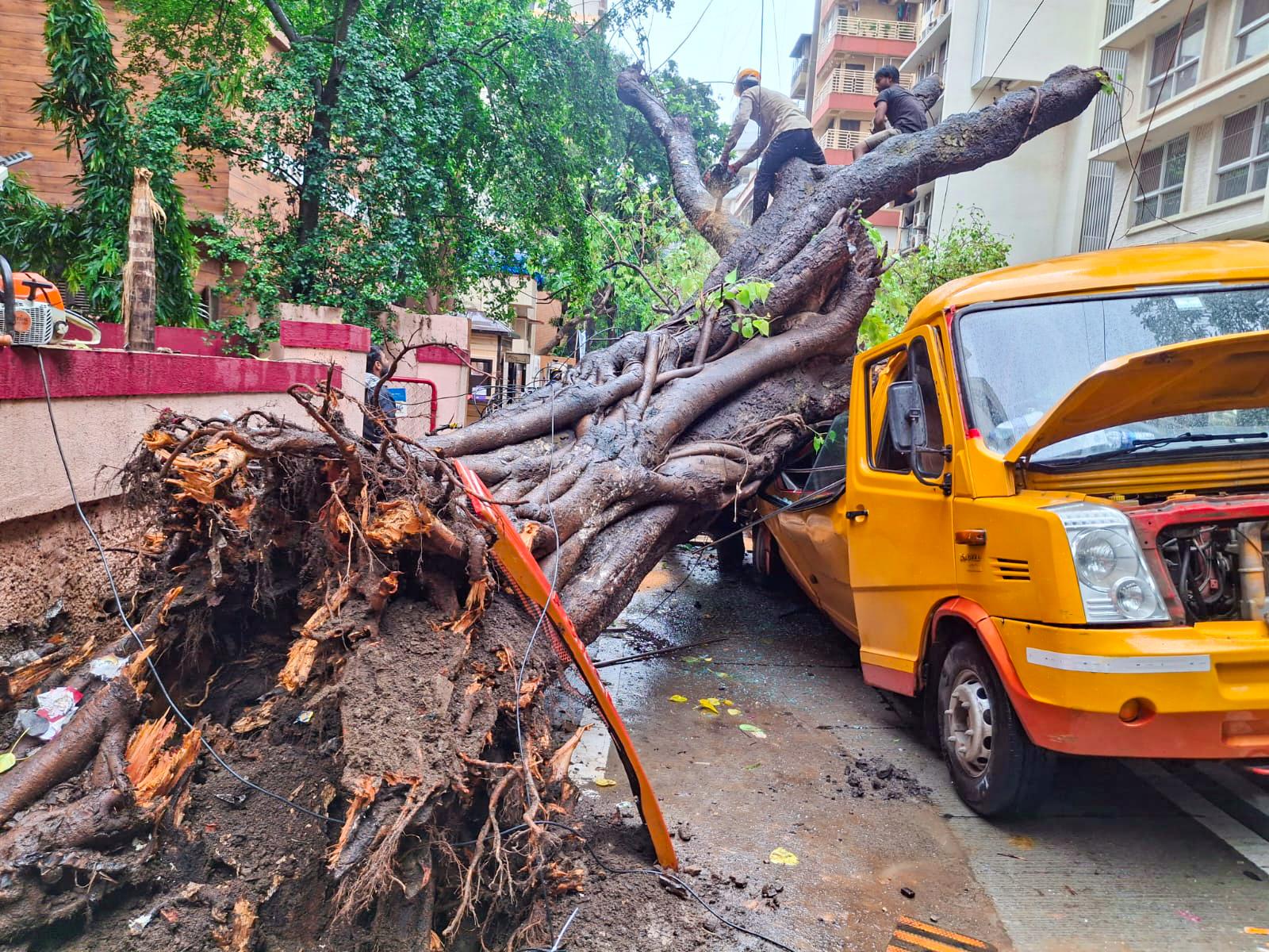 मुंबई में मॉनसून का कहर : 99 से अधिक पेड़ गिरे, शॉर्ट सर्किट के 13 मामले सामने आए