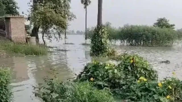 बिहार