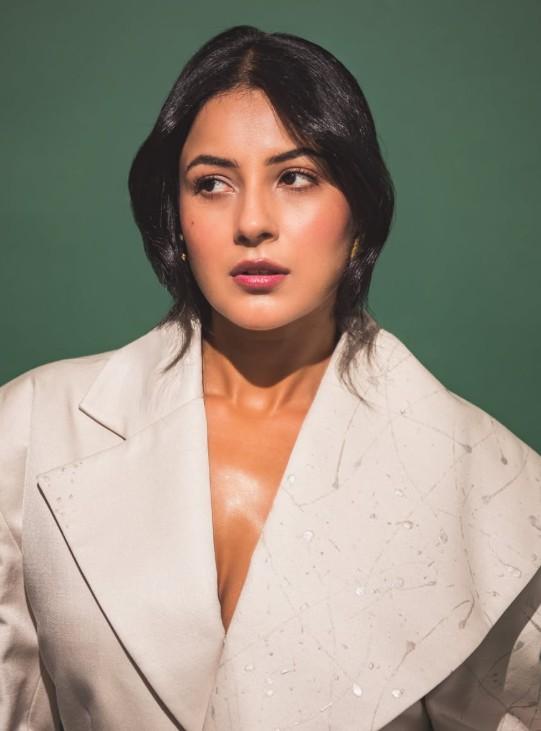 बी प्राक के गाने 'नरक' को शहनाज गिल ने दिया यूनिक टच, निम्मा और नसीमा का दर्द भी बताया