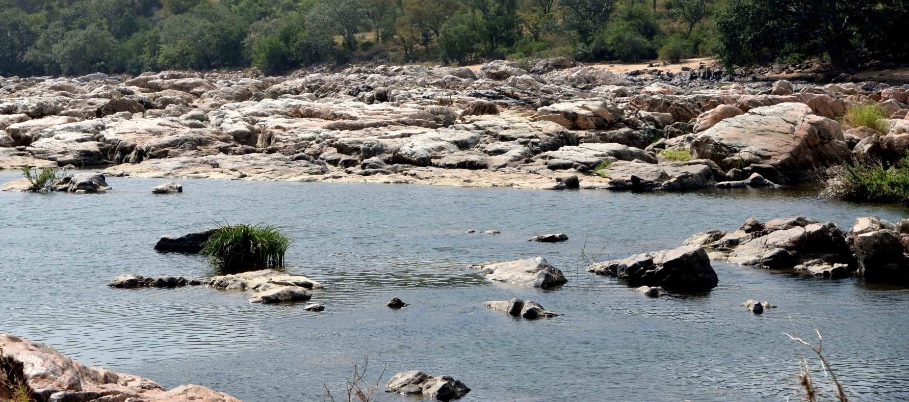 कावेरी