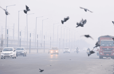 एनसीआर की हवा में जहर: दिल्ली, नोएडा और गाजियाबाद में एक्यूआई 450 के पास, अस्पतालों में बढ़ी मरीजों की भीड़