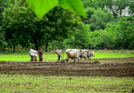 महाराष्ट्र