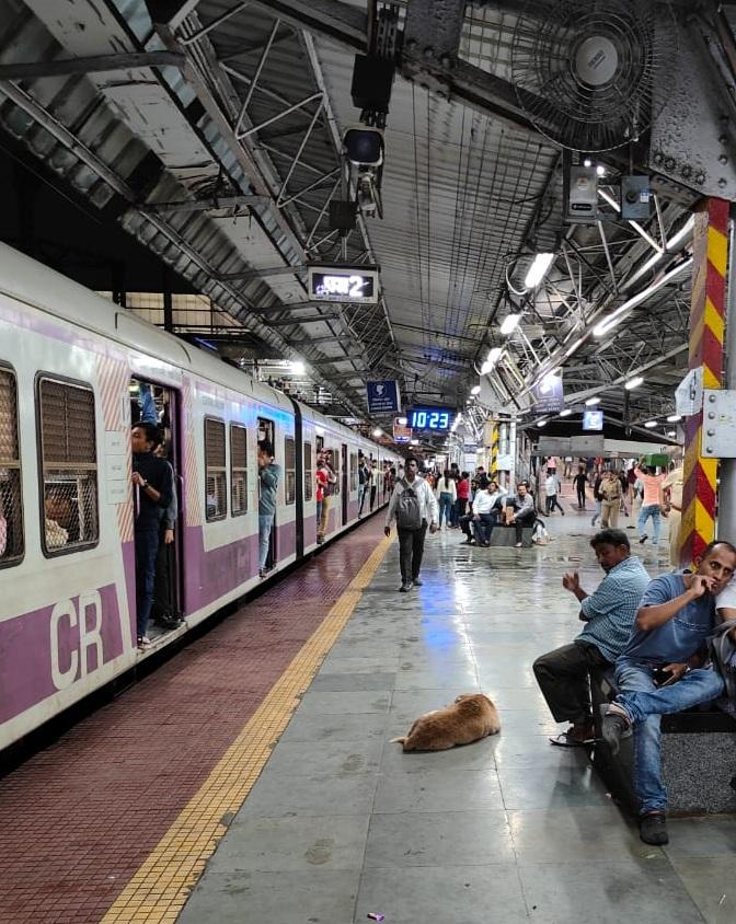 नीट की दोबारा परीक्षा के लिए मुंबई में नियमित चलेंगी ट्रेनें, स्टेशनों पर बनाए गए हेल्प डेस्क