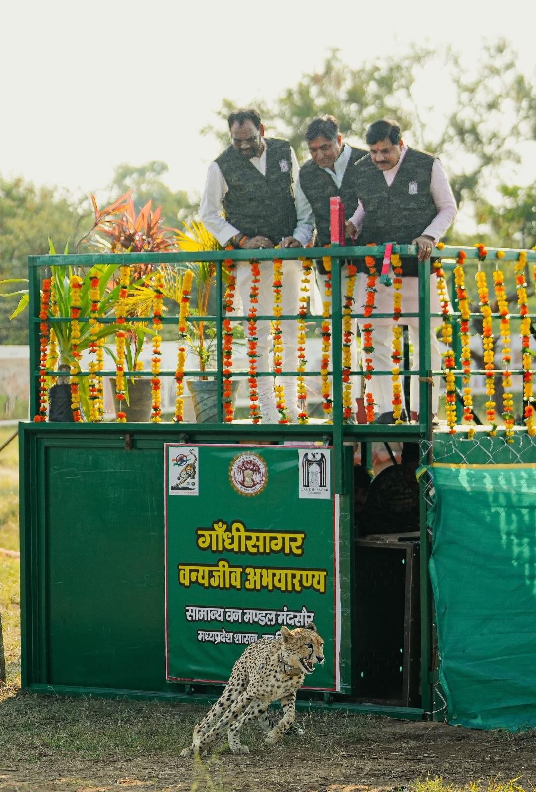 सीएम