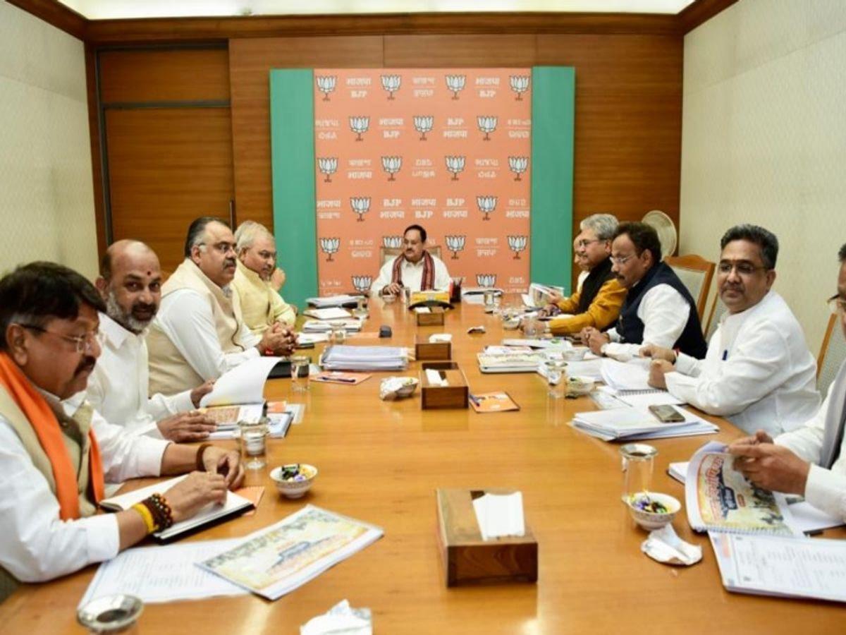 BJP president selection
