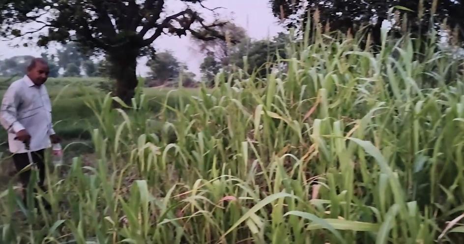 हरियाणा: