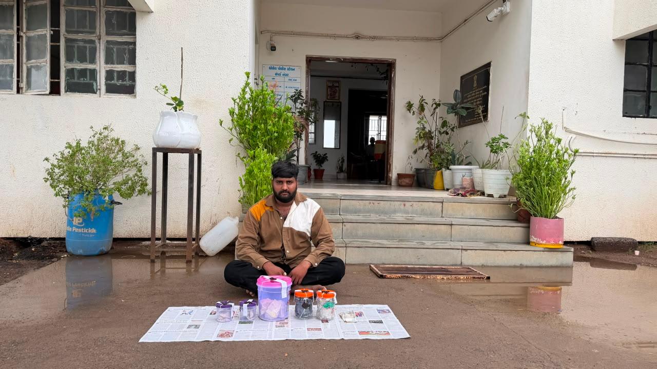 गुजरात पुलिस ने 1.01 करोड़ रुपए कीमत की दुर्लभ एम्बरग्रीस जब्त की, एक गिरफ्तार