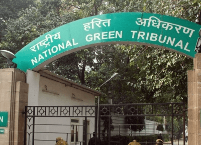 स्टील प्लांट द्वारा वन भूमि अतिक्रमण, ओडिशा सरकार, कलेक्टर को एनजीटी नोटिस