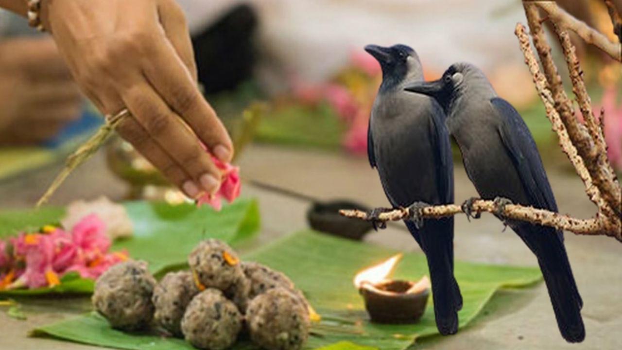 पितृपक्ष