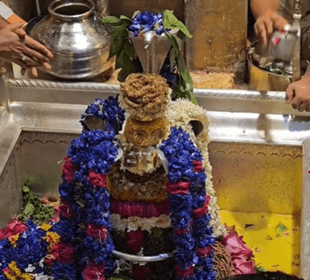 नाग पंचमी की विशेष पूजा से मिलेगी संकटों से मुक्ति, मिटेगा दोष