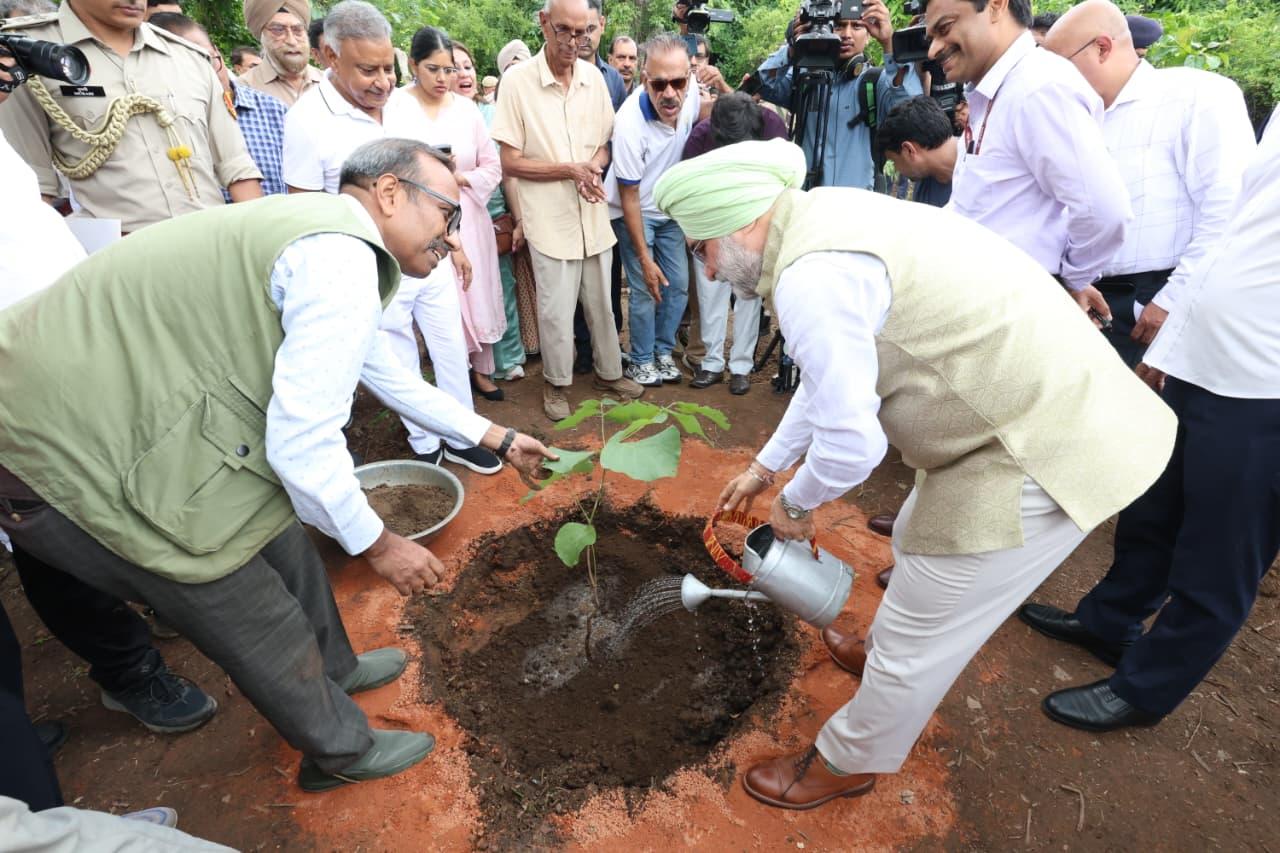 दिल्ली के उपराज्यपाल टीएस संधू ने कमला नेहरू रिज में छात्रों संग लगाए पौधे