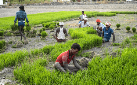 इस वर्ष मई में भारत के कृषि और ग्रामीण श्रमिकों के लिए महंगाई में आई कमी