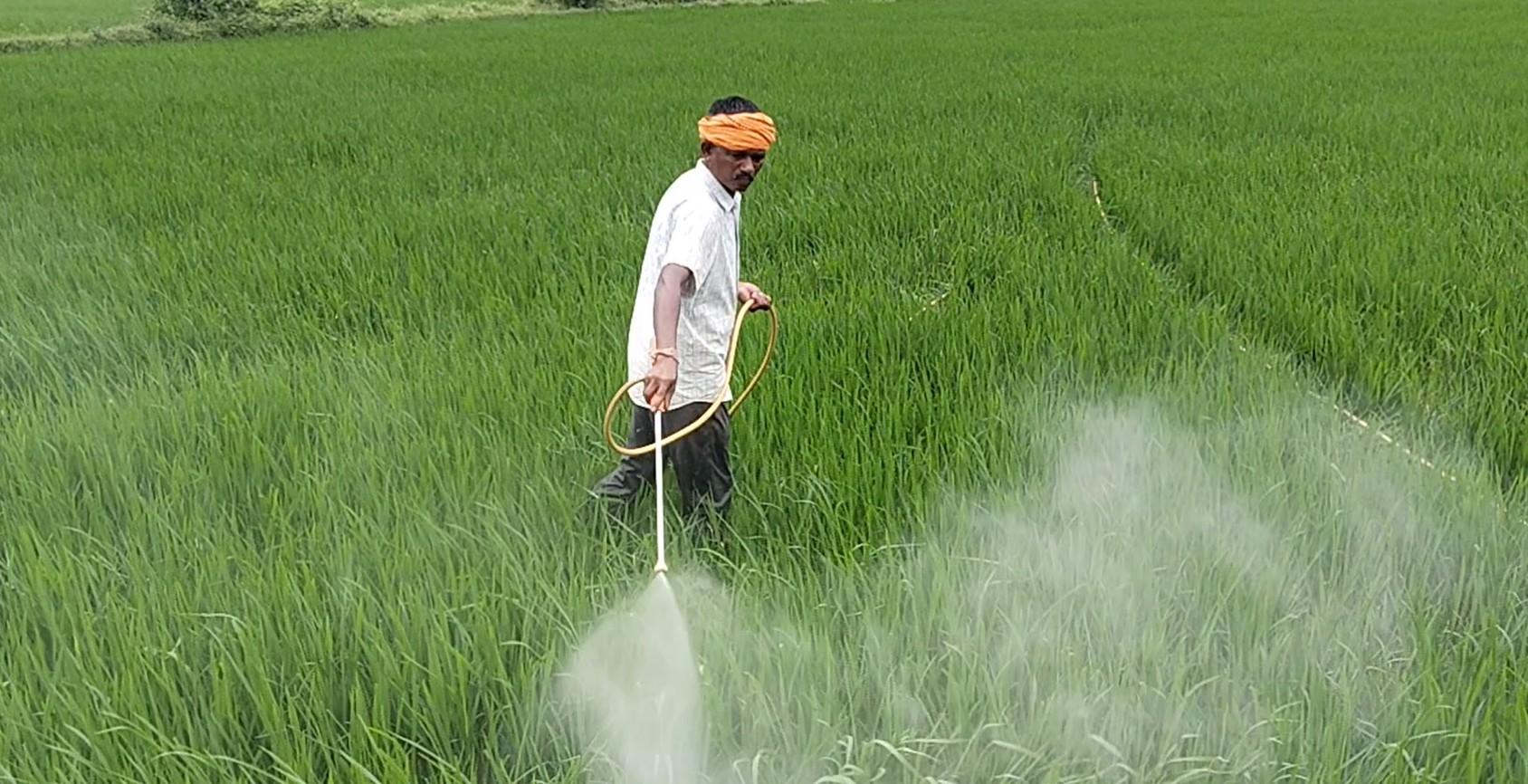 छत्तीसगढ़: