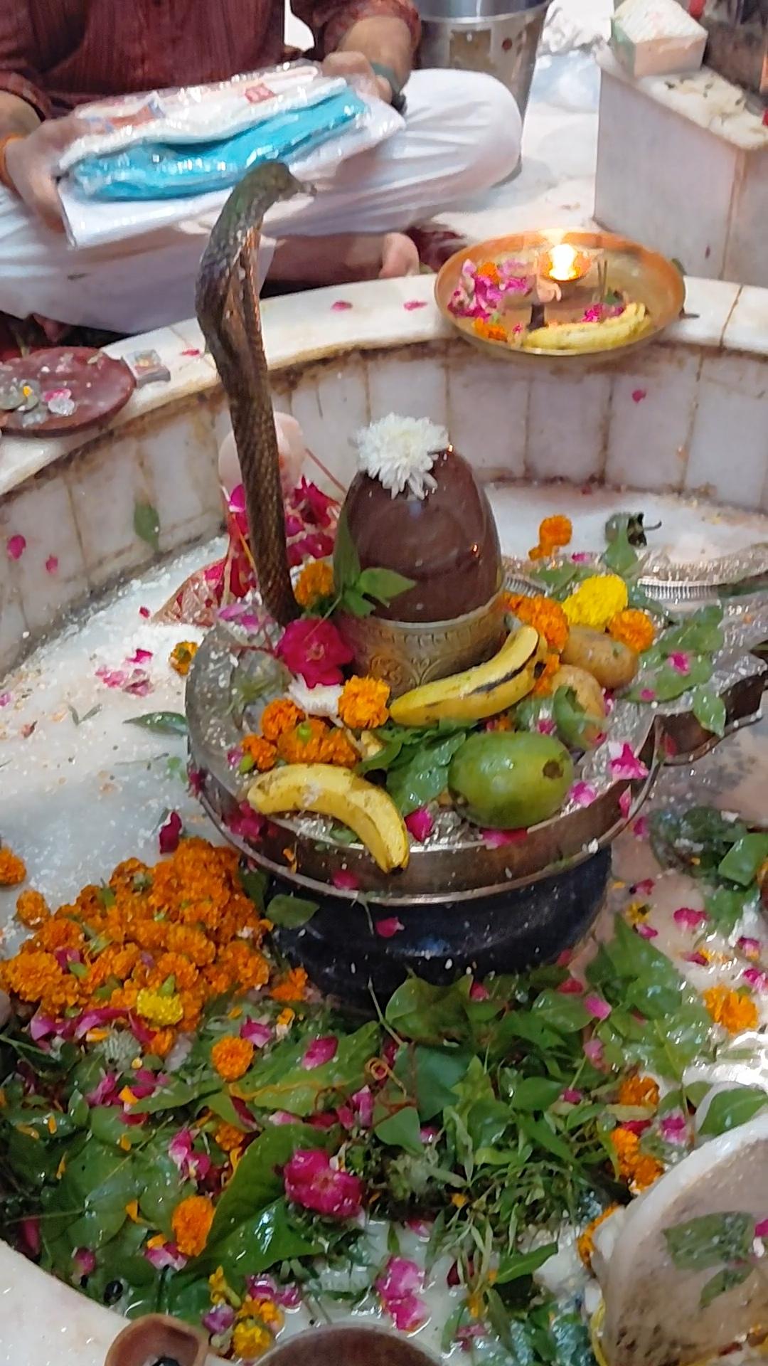नोएडा