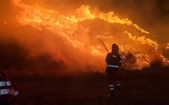 Wildfire