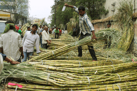दीपावली के बाद गन्ना किसानों को सरकार का उपहार, बढ़ाए गए दाम