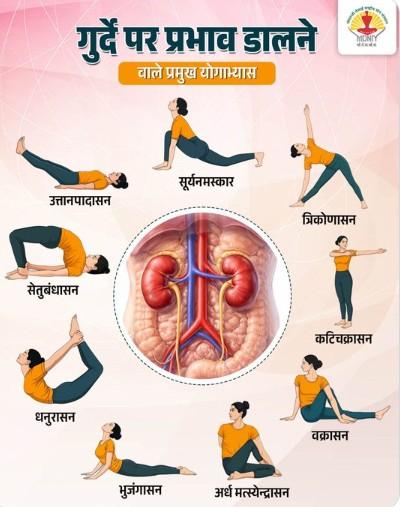 गुर्दे