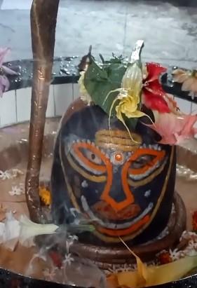 हरे-भरे