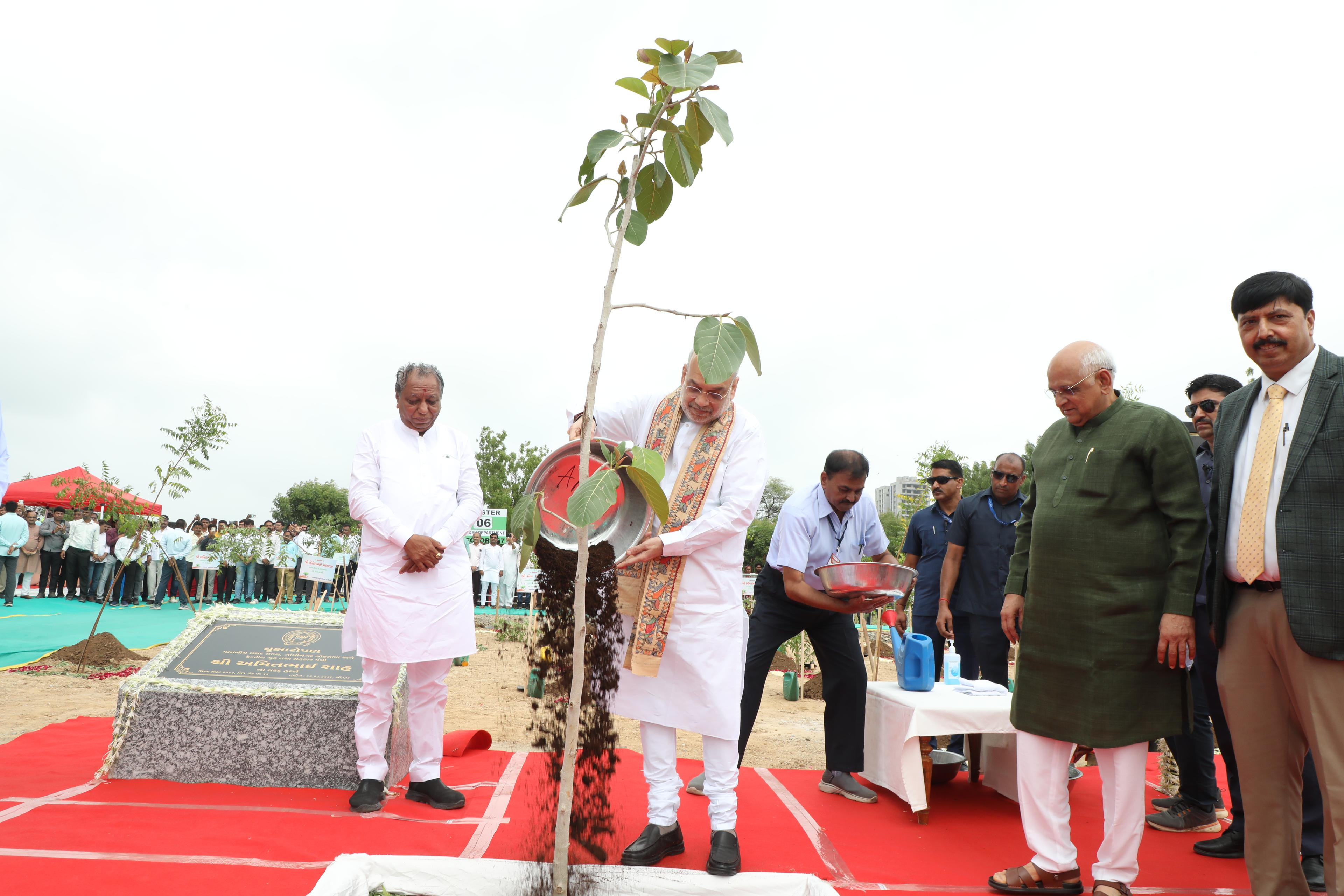 गुजरात: अहमदाबाद में गृहमंत्री अमित शाह और सीएम भूरेंद्र पटेल 'मिशन फाइव मिलियन ट्रीज' अभियान में शामिल हुए