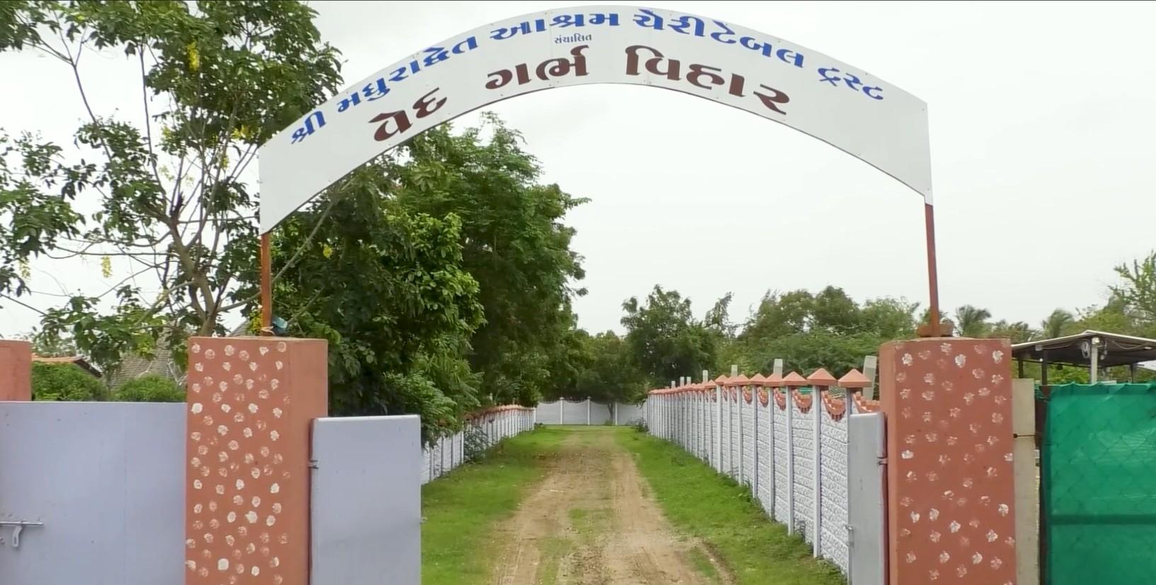 वेलनेस