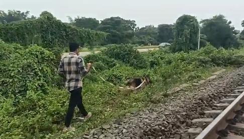 पश्चिम