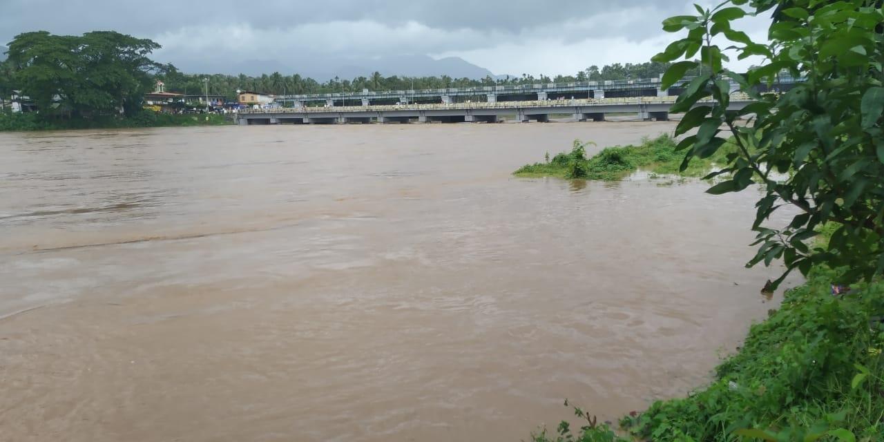 केरल : बाढ़ में फंसे जानवरों को बचाने के लिए बड़े पैमाने पर बचाव अभियान जारी