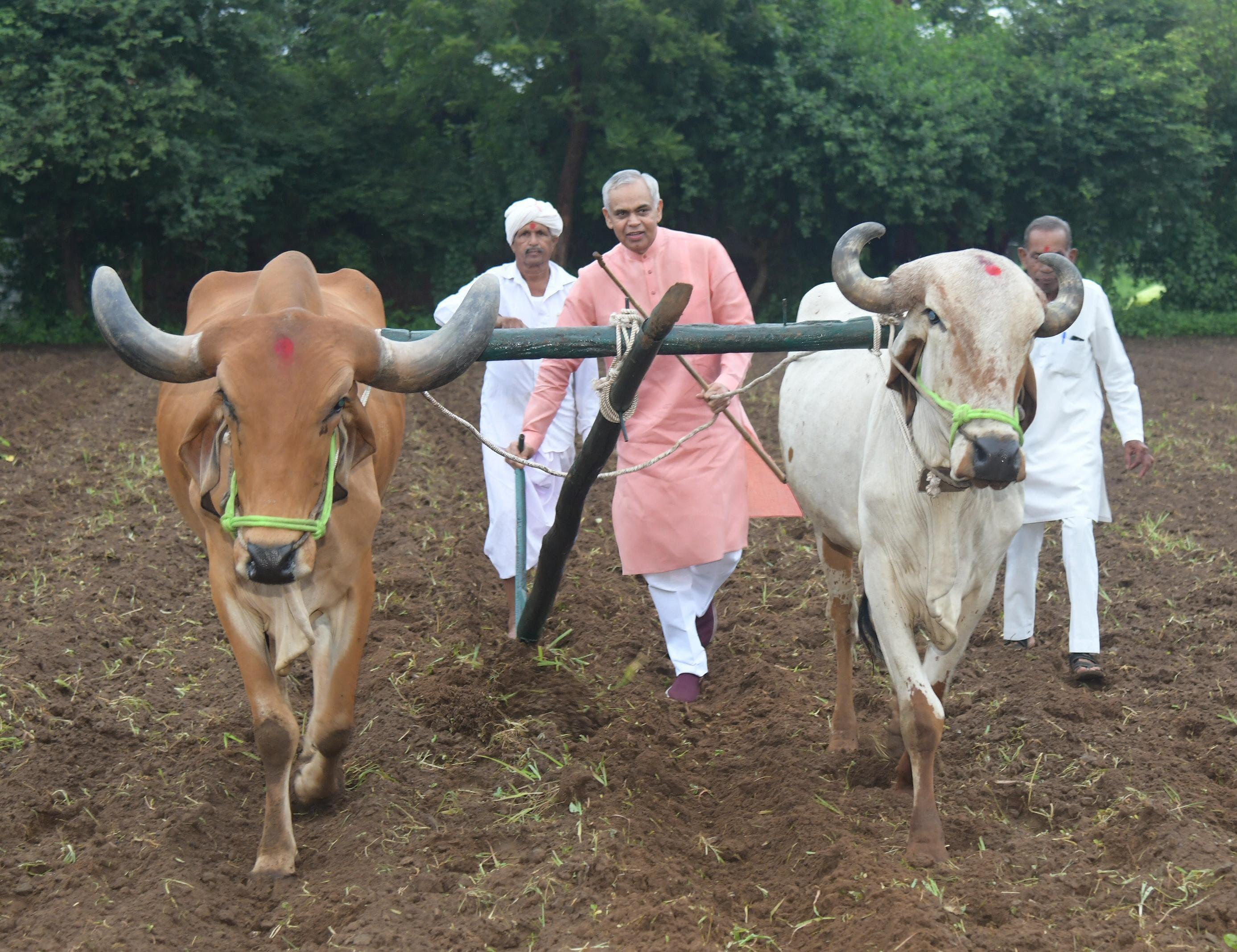 गुजरात