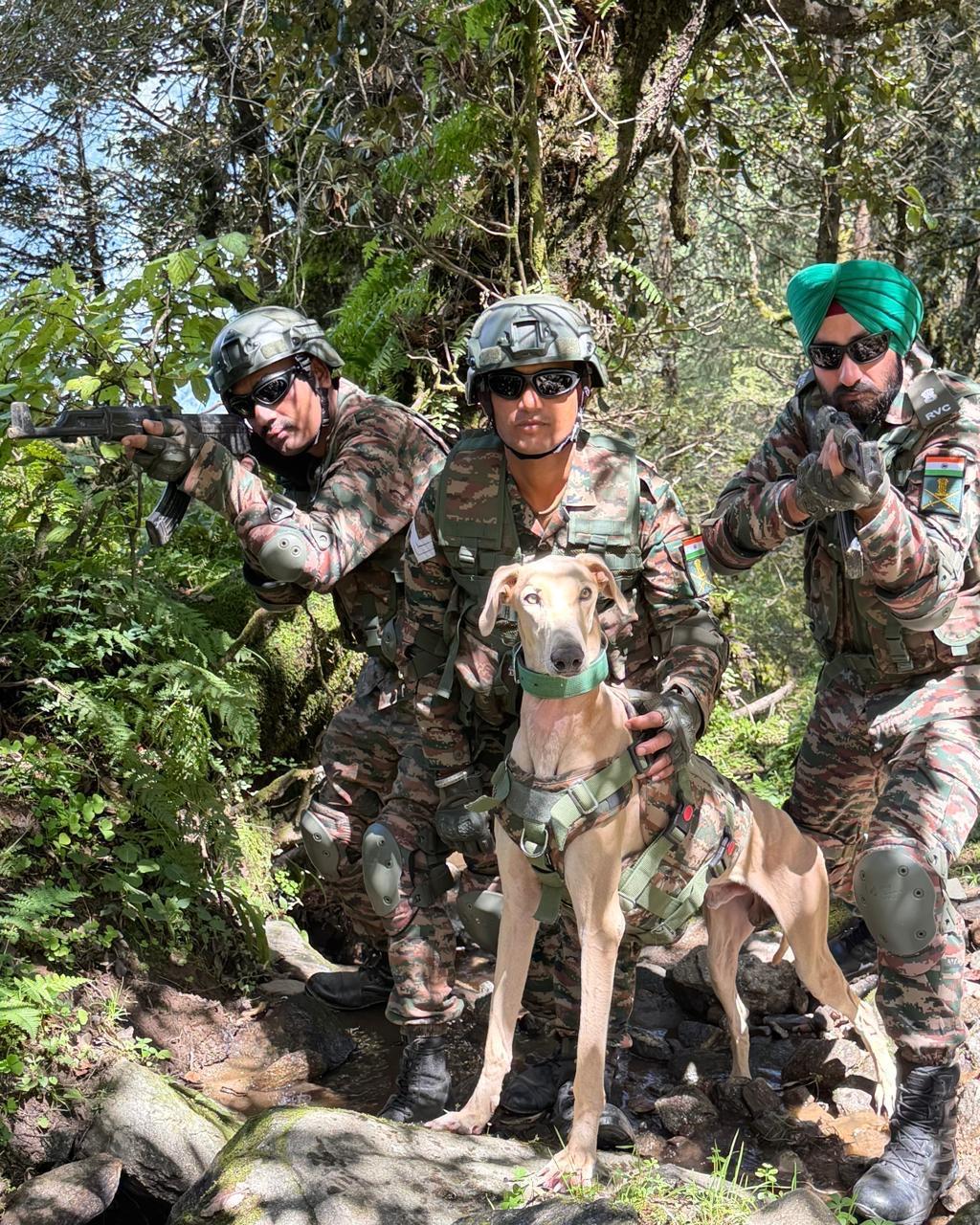 भारतीय