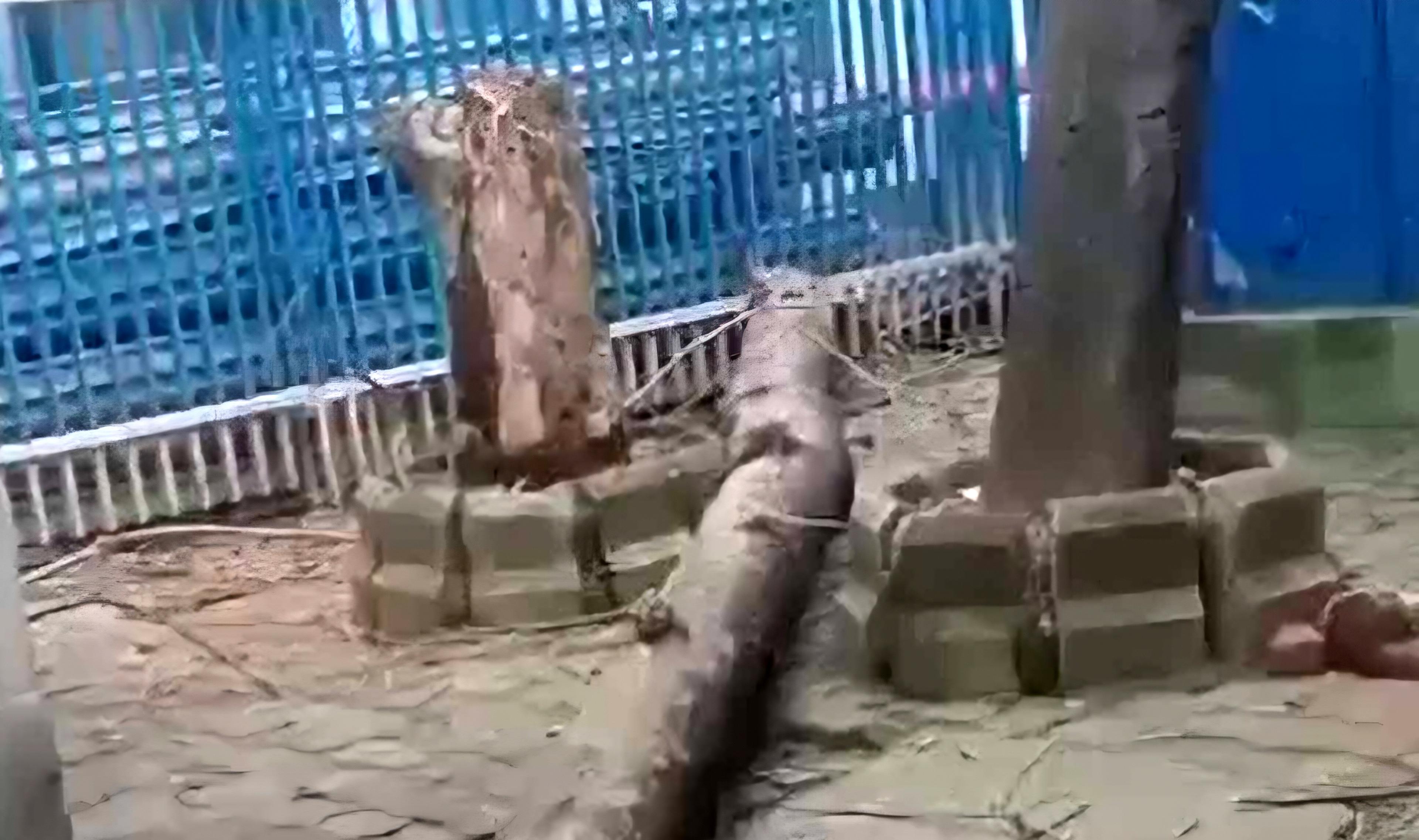 कोलकाता