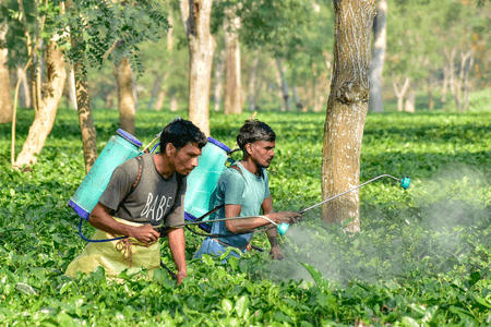 भारत में बेरोजगारी दर अक्टूबर-दिसंबर तिमाही में घटी