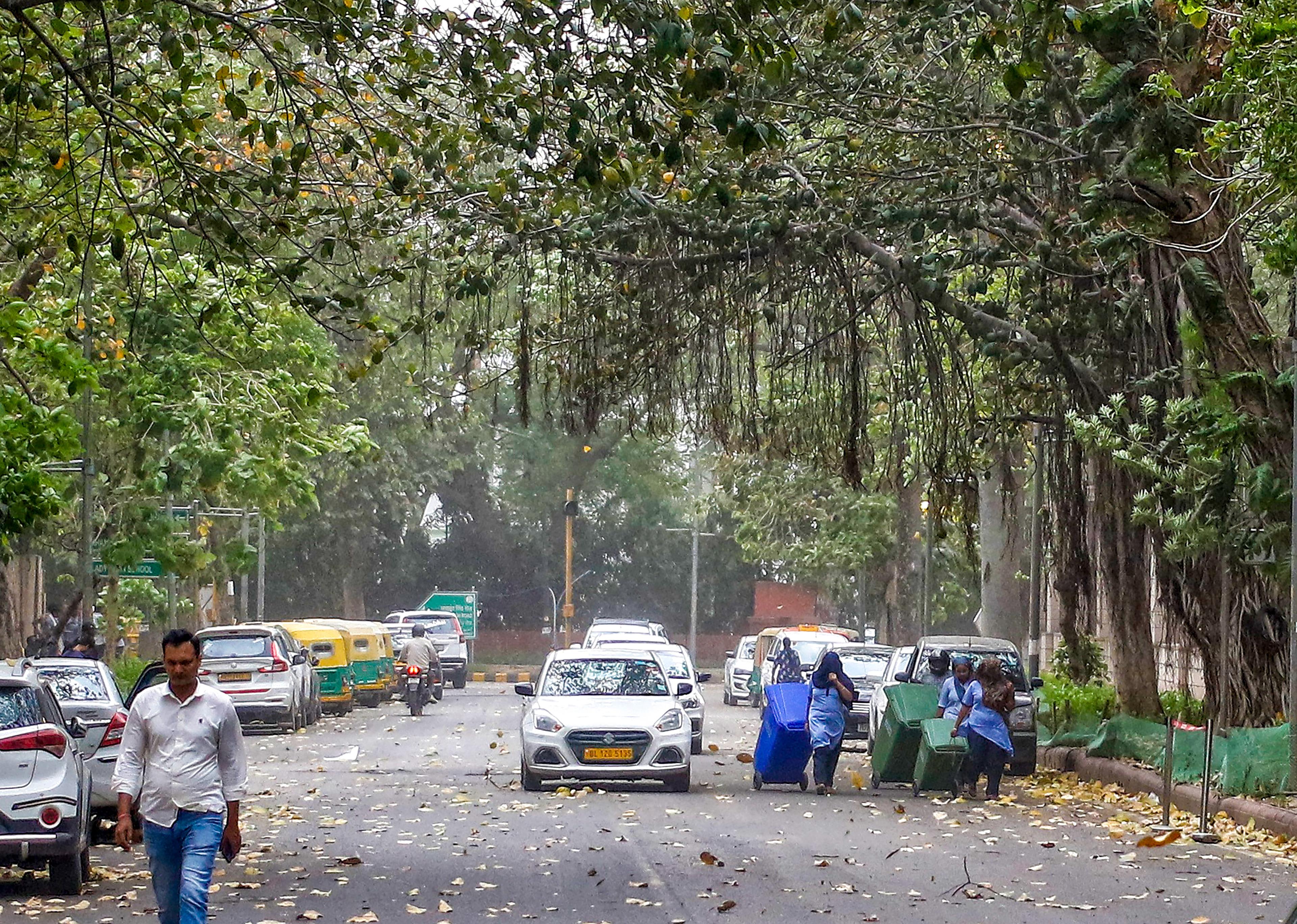 दिल्ली-एनसीआर में गरज-चमक और तेज हवाओं के साथ होगी बारिश, येलो अलर्ट जारी