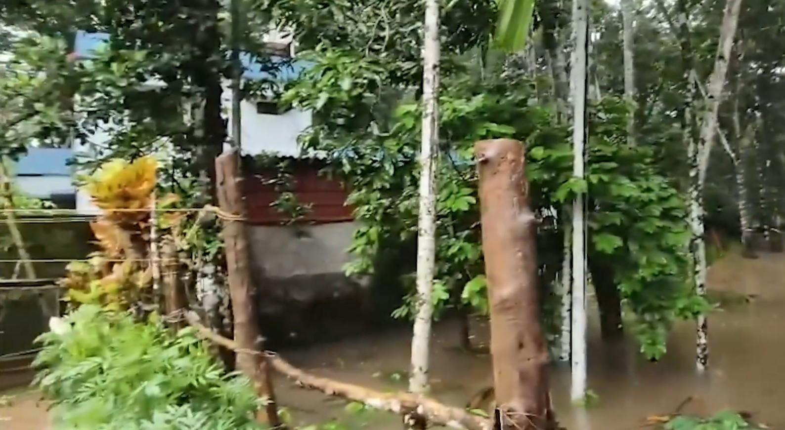 केरल: वायनाड और कोझिकोड समेत राज्य के आठ जिलों में भारी बारिश का रेड अलर्ट जारी, एक महिला की मौत