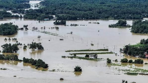 Leptospirosis