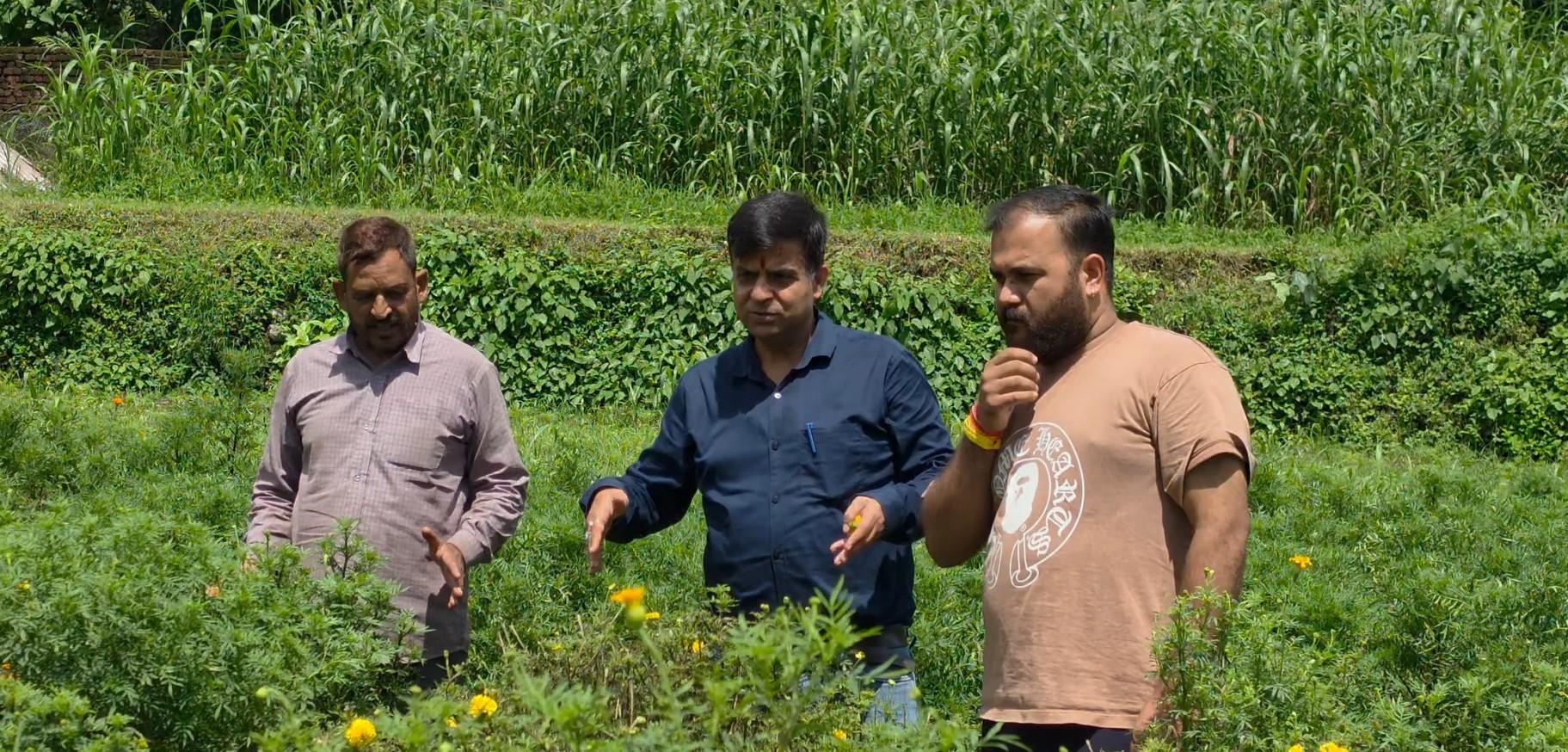 जम्मू-कश्मीर: